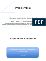 Fisiopatologia Preeclampsia