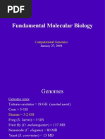 CMMB-Fund Mol Bio