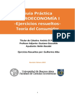 R2-Guia Resuelta Consumidor.pdf