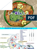 Celula 4eso PDF