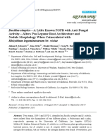 Bacillus Simplex PDF