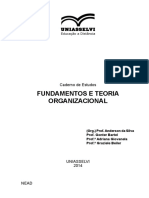 Fundamentos e Teoria Organizac