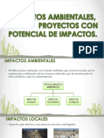 IMPACTOS AMBIENTALES, ECAS  Y  PROYECTOS CON POTENCIAL.pptx