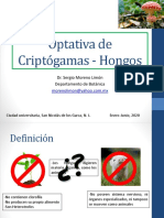 Concepto y Generalidades de Hongos