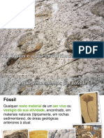 Fósseis 1