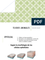 Tejidos Animales PDF