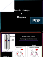 01 Gene Linkage-Chrom Mapping