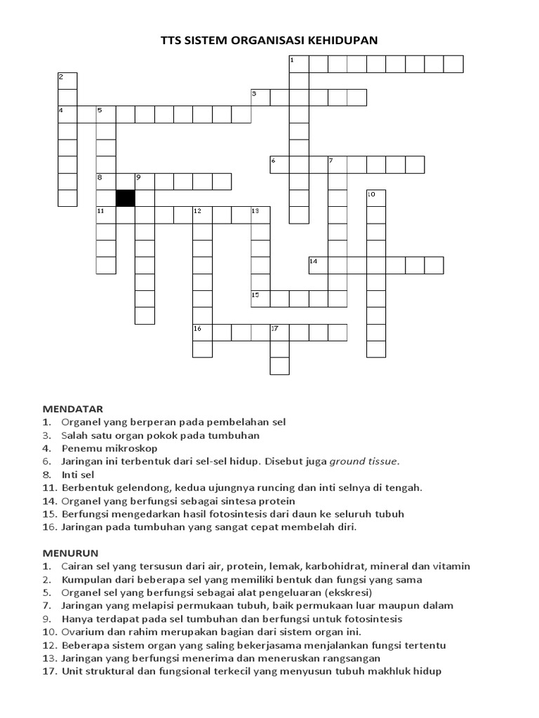 10 Pertanyaandan Jawabannya Tentang Sistem Organisasi