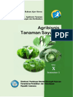 Agribisnis_Tanaman_Sayuran_1.pdf