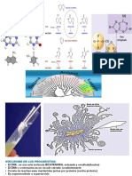 ADN Metabol - Reg Hor Humano 9