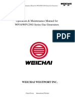 Operation Manual For WP10 WP12NG Series Gas Generators PDF