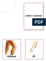 PARTES DO CORPO HUMANO
