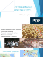 ornithobacteriumrhinotracheale-170926020603