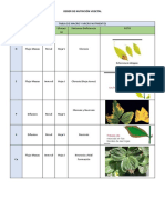 Tabla de Macro y Micro Nutrientes