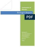 Biology's Report: Contraction of Muscles