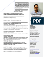 CV Andy Gonzales del Valle -  2019.docx