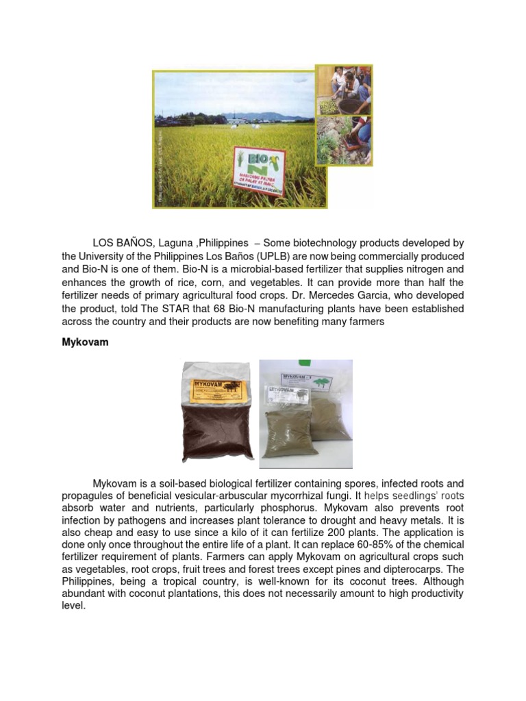 UPLB Biotech Products Help Farmers | PDF | International Rice Research ...