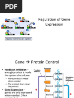 AP Bio CH 15