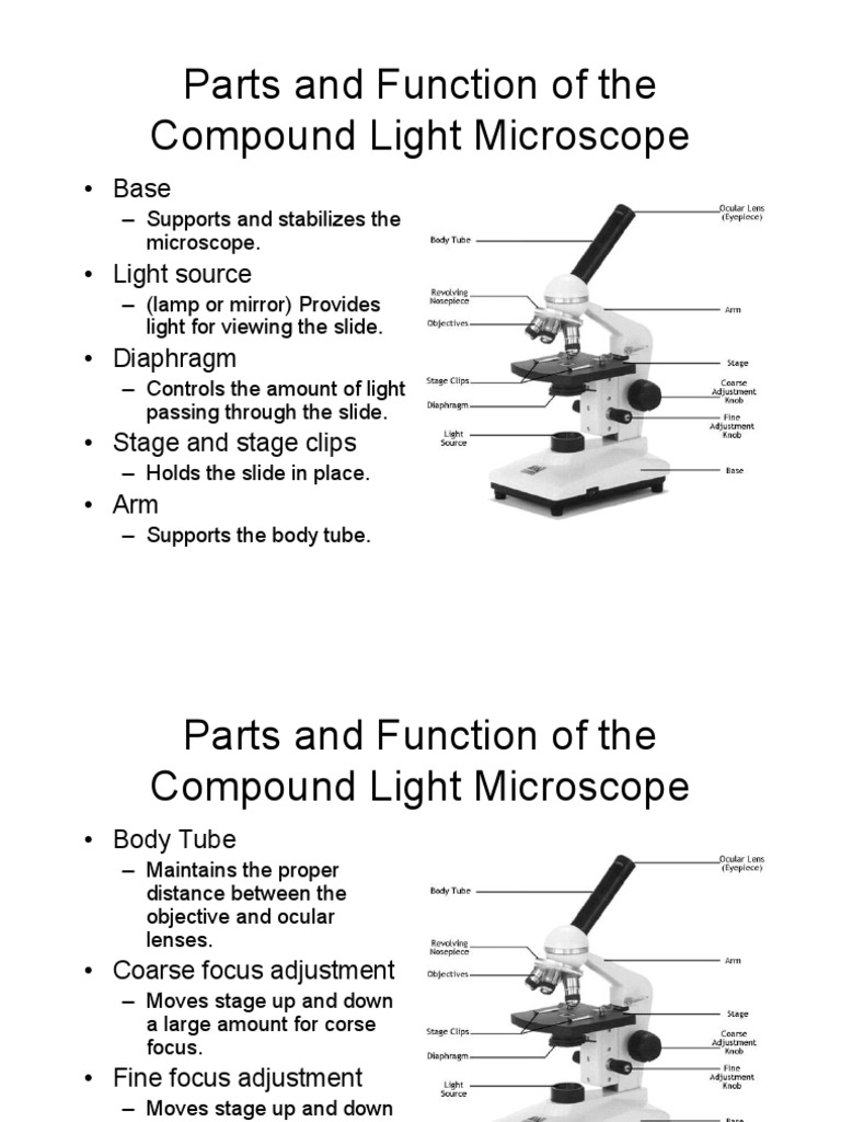 Microscope Diaphragm Function