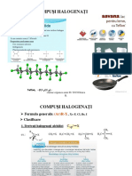 DV Halogenati