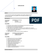 Word Format Charted Accountant Resume.doc