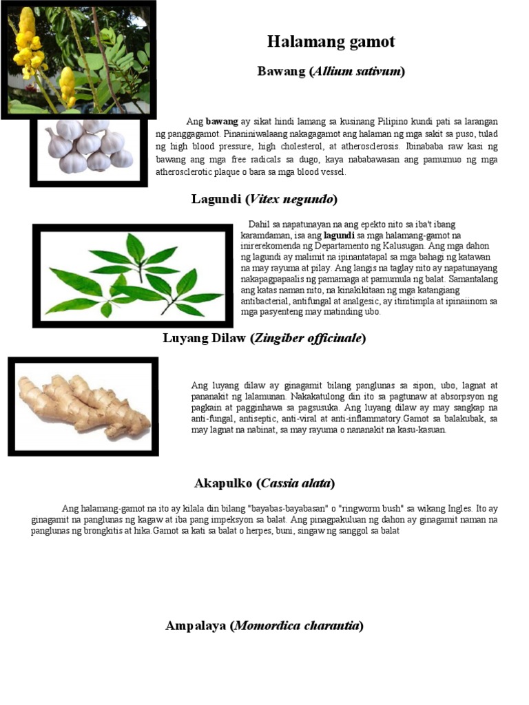 Halamang Gamot Ago Pdf