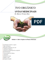 Slide-Cultivo Orgânico de Plantas Medicinais