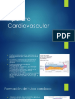 Aparato Cardiovascular