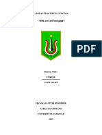LAPORAN PRAKTIKUM DERMATOGLIFI PDF