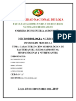 Microbiologia-Caracterizacion Morfologica de Bacterias
