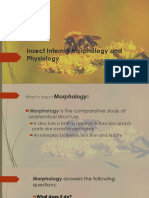 Insect Internal Morphology