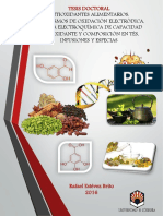 Tesis Doctoral PDF