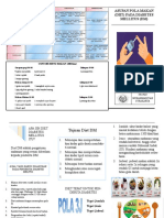 Leaflet DM 2 PDF