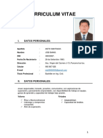 CURRICULUM VITAE Job Oficial