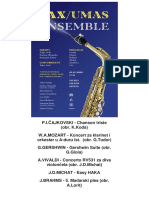 program1 saxumas