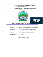 PROGRAMA DE PRODUCCION 1.docx