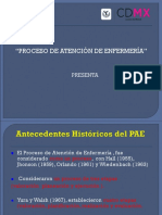 01 - Presentacion Proceso de Atencion de Enfermeria