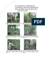 REGISTRO FOTOGRAFICO COMPONENTE FORESTAL.docx