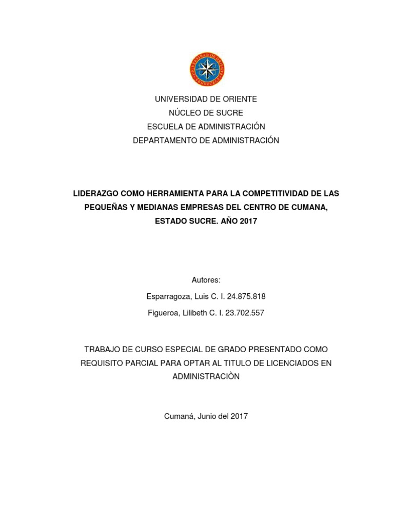 Liderazgo y Competitividad en Cumaná | PDF | Pequeñas y medianas ...