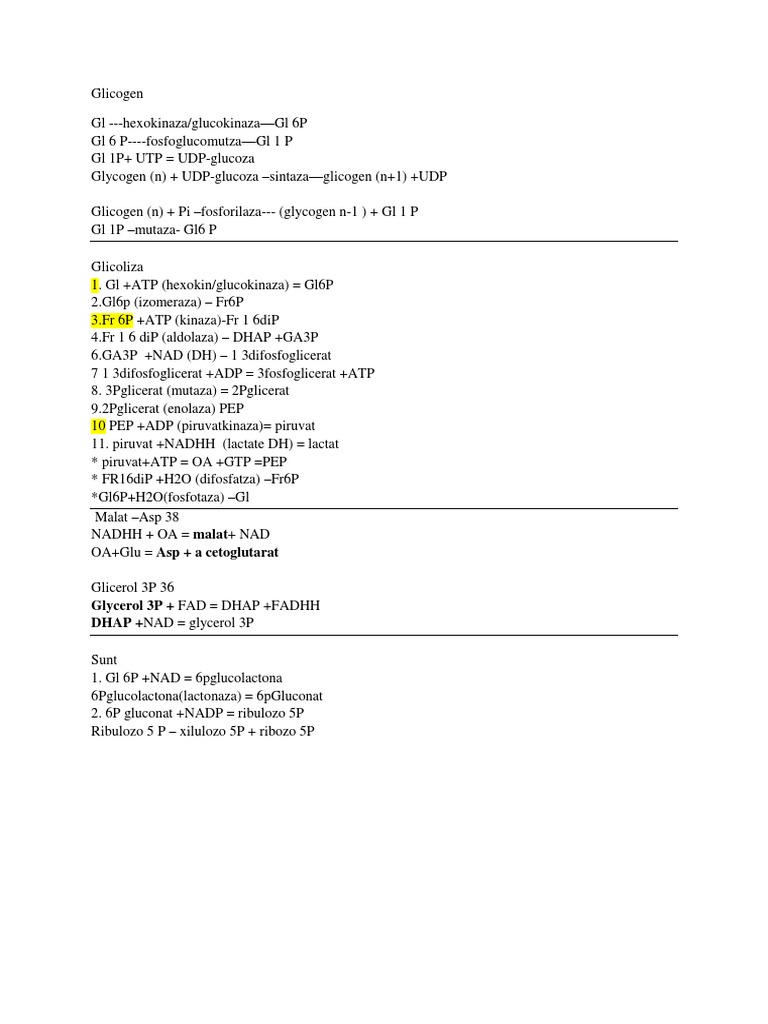 Glycogen and Metabolic Pathways | PDF
