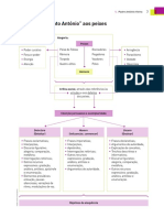 oexp12_esquema_sintese_sermao.pdf