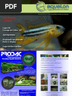 Aqualon Edição 03 - Abr / Mai / Jun 2009