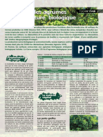 agrumes.pdf