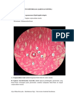 1 Epithelias PDF