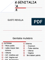 1.5.1.4 - Anatomi Organ Genetalia Wanita