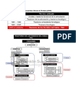 MAPAS DE TSH