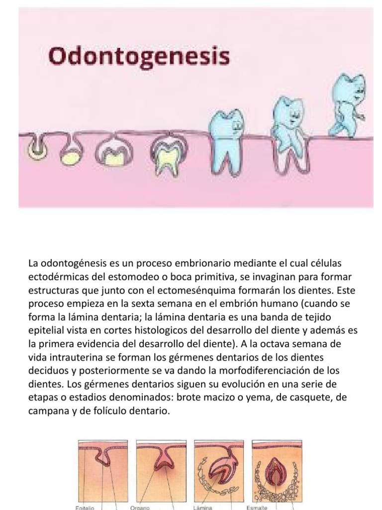 Homeores Composto Spray Nasale 20 ml main image 0