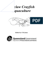 56433604-Redclaw-Crayfish-Aquaculture.pdf