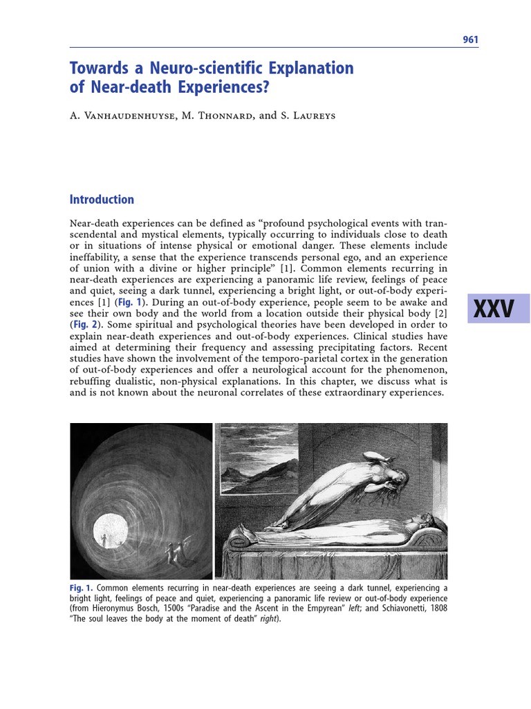 Towards A Neuroscientific Explanation of Near-Death Experiences PDF ...