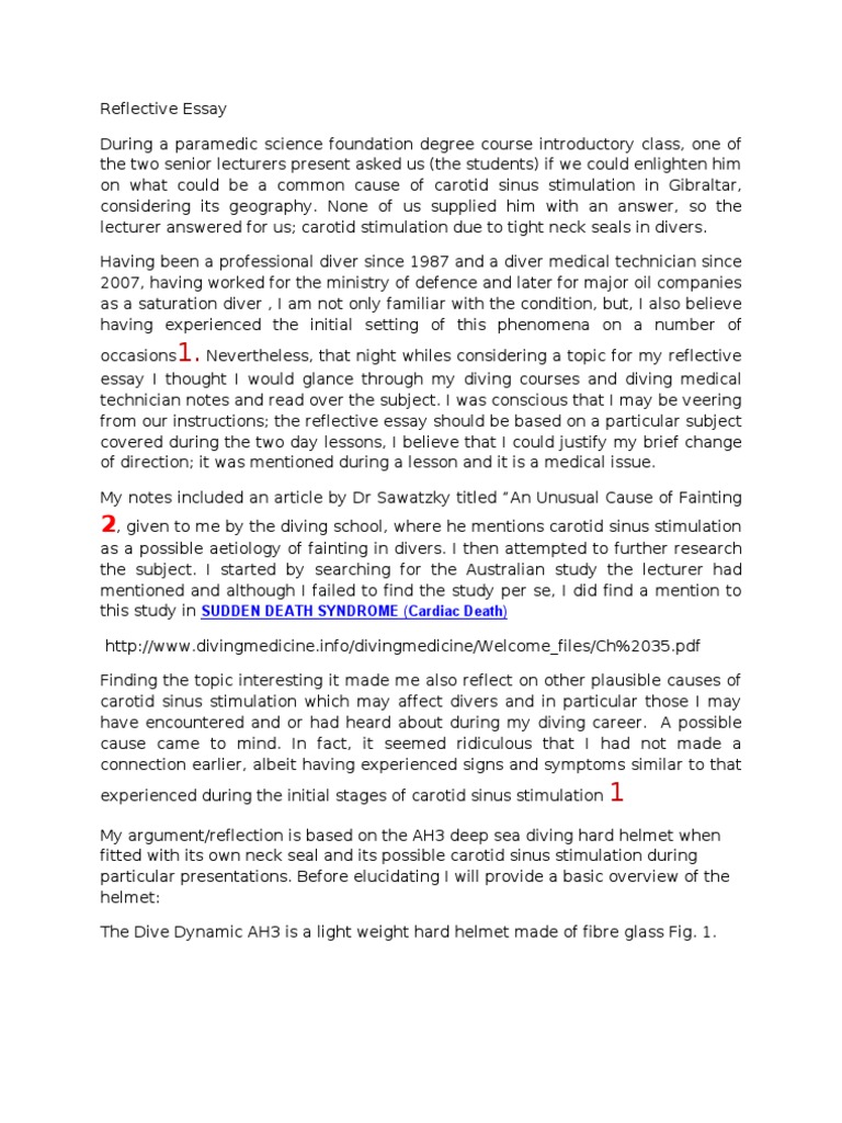 Underwater diving essay picture